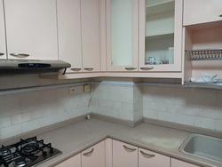 Dover Parkview (D5), Condominium #589192151